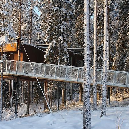 Treehotel Harads Exterior foto