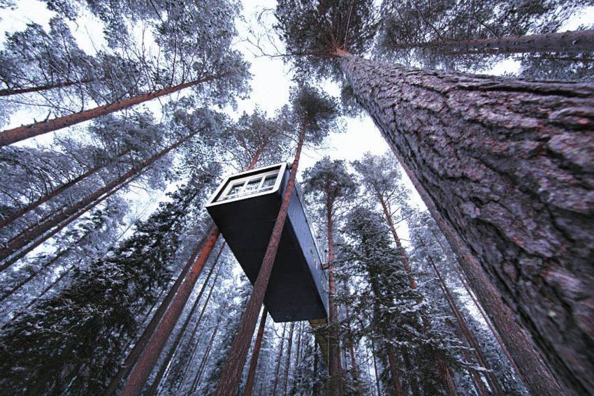 Treehotel Harads Quarto foto